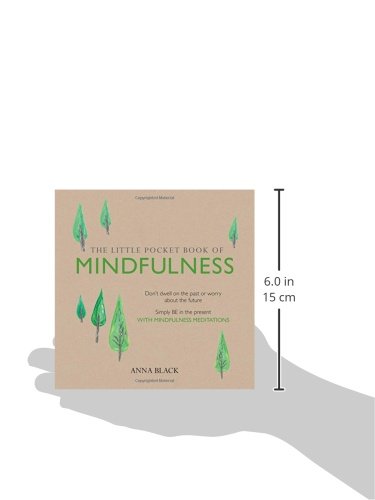 The Little Pocket Book of Mindfulness: Don't dwell on the past or worry about the future, simply BE in the present with mindfulness meditations