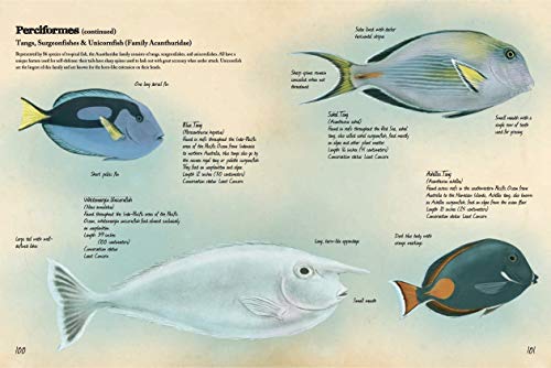 Animal Journal: Marine Animals of the World: Notes, drawings, and observations about animals that live in the ocean