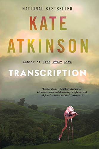 Transcription: A Novel