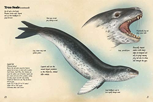 Animal Journal: Marine Animals of the World: Notes, drawings, and observations about animals that live in the ocean