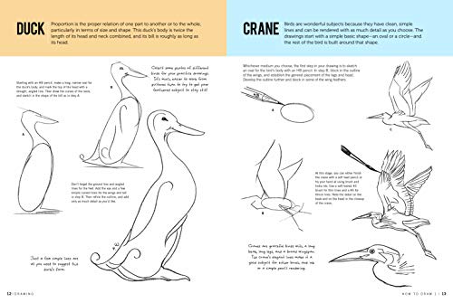 Drawing: How to Draw 1: Learn to draw step by step (How to Draw & Paint)