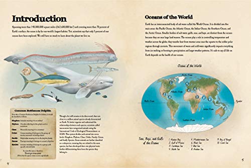 Animal Journal: Marine Animals of the World: Notes, drawings, and observations about animals that live in the ocean