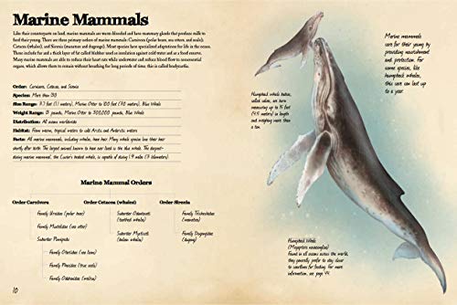 Animal Journal: Marine Animals of the World: Notes, drawings, and observations about animals that live in the ocean