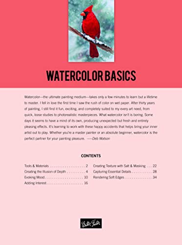 Painting: Watercolor Basics: Master the art of painting in watercolor (How to Draw & Paint)