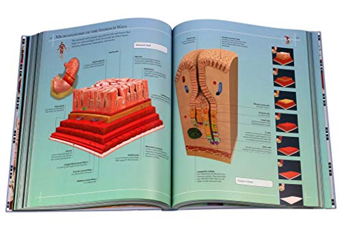 Anatomy 360: The Ultimate Visual Guide to the Human Body