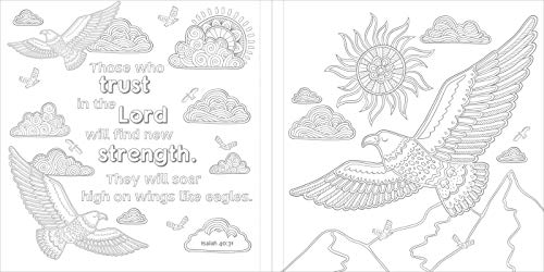 Let There Be Light: A Glow in the Dark Coloring Book