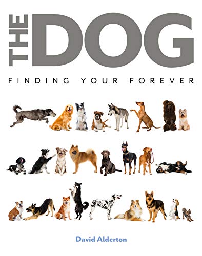 The Dog: Finding Your Forever