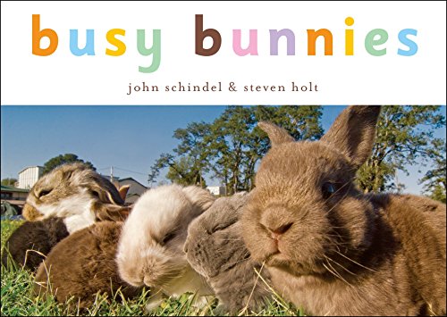 Busy Bunnies