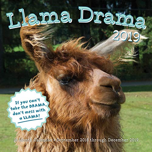 Llama Drama 2019: 16-Month Calendar - September 2018 through December 2019