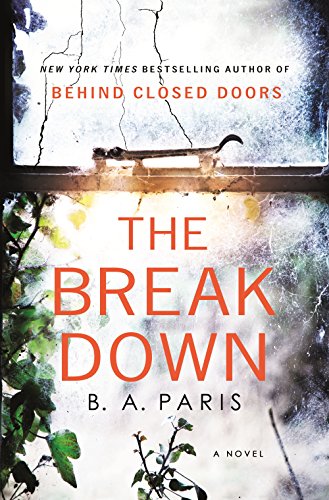 The Breakdown: A Novel