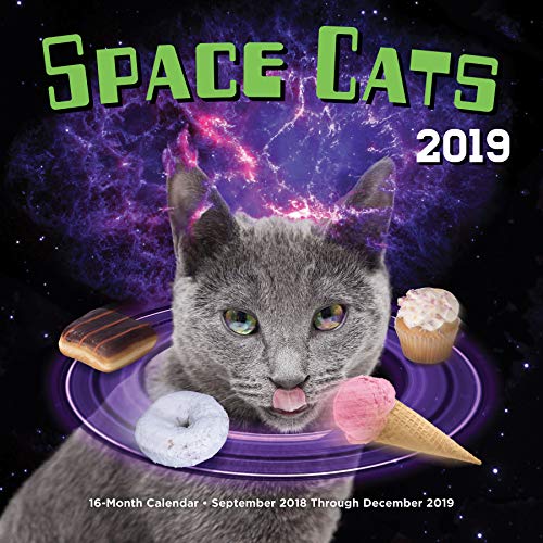 Space Cats 2019: 16-Month Calendar - September 2018 through December 2019