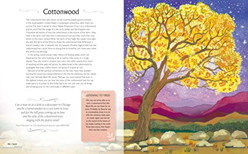 Be More Tree: A journey of wisdom, symbols, healing, and renewal