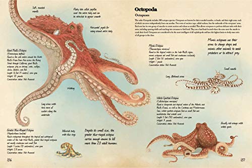 Animal Journal: Marine Animals of the World: Notes, drawings, and observations about animals that live in the ocean