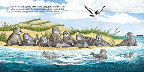 Sydney the Seal Saves the Sea: Protect the Planet Together (Friendship Stories)