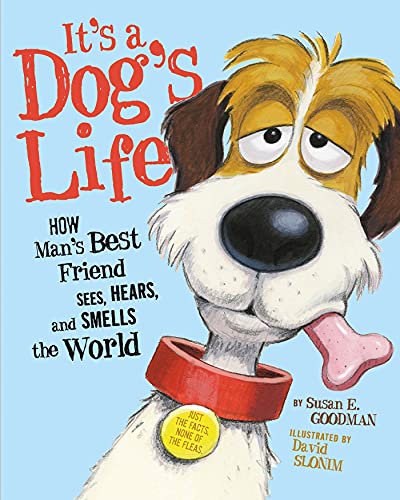 It's a Dog's Life: How Man's Best Friend Sees, Hears, and Smells the World