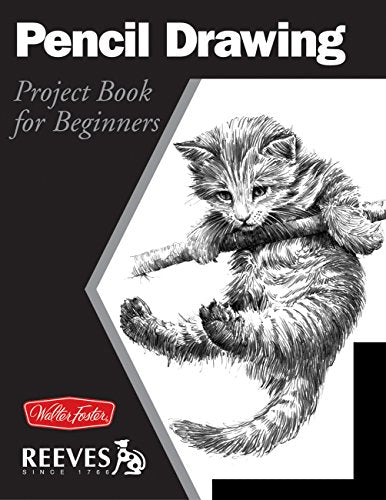 Pencil Drawing: Project book for beginners (WF /Reeves Getting Started)