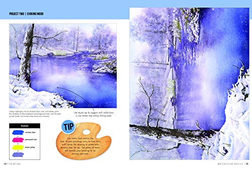 Painting: Watercolor Basics: Master the art of painting in watercolor (How to Draw & Paint)