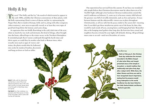 Christmas: A short history from solstice to santa