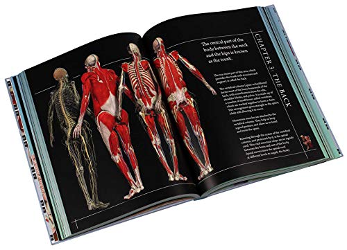 Anatomy 360: The Ultimate Visual Guide to the Human Body