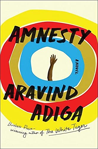 Amnesty: A Novel