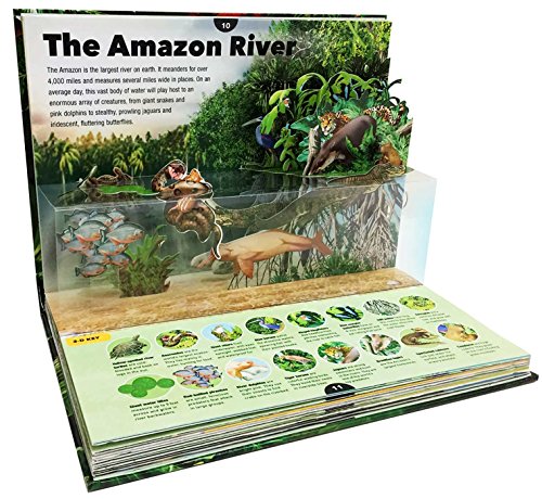 3-D Explorer: Rain Forest