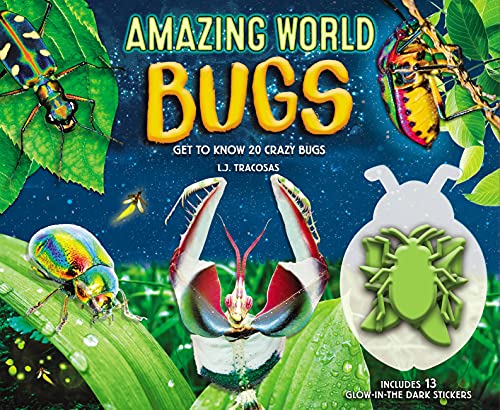 Amazing World: Bugs: Get To Know 20 Crazy Bugs